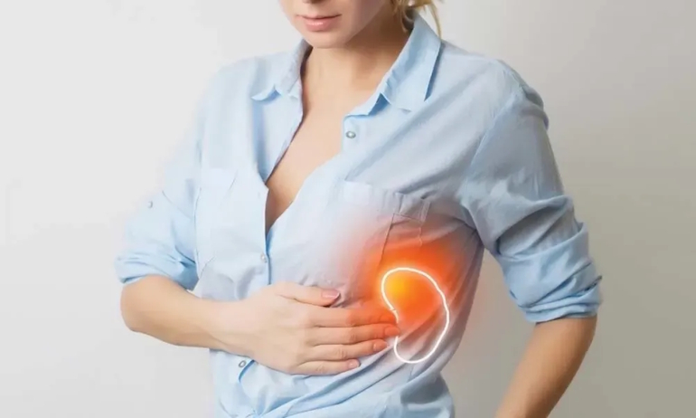 What the Spleen Does: Functions, Location, and Life Without It