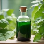 Хлорофилл: польза и вред приема внутрь