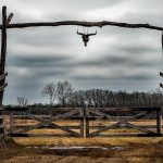 Открываем Техас: Обзор штата с богатой историей и культурой