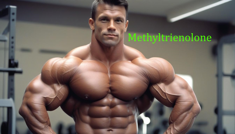 Метилтриенолон (Methyltrienolone) в бодибилдинге