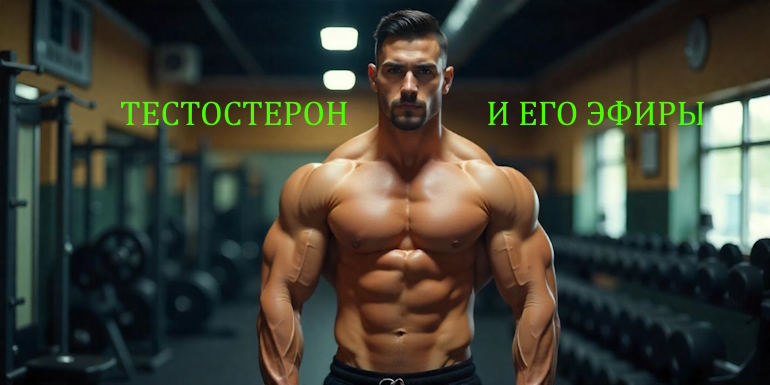 Тестостерон в бодибилдинге: полное руководство