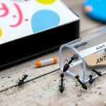 Как избавиться от муравьёв дома подручными средствами Как избавиться от муравьёв дома подручными средствами