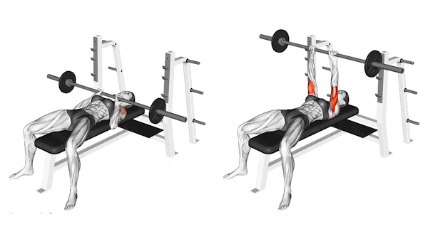 Close-Grip Bench Press for Triceps: Technique Guide