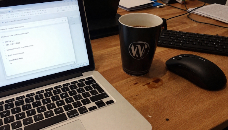 Поле Custom Schema в WordPress и как это улучшает SEO